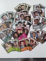 Joepie Hottie cards (= kwartet ), Verzamelen, Speelkaarten, Jokers en Kwartetten, Ophalen of Verzenden, Zo goed als nieuw, Kwartet(ten)