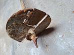 Grondboor, Tuin en Terras, Hand-tuingereedschap, Ophalen, Grondboor