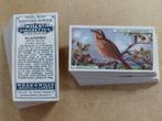 British Birds complete set 50 chromos vogels 1917 Wills, Verzamelen, Foto's en Prenten, Ophalen of Verzenden, Voor 1940, Dier