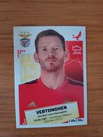 Panini Futebol 2020-2021 Portugal Vertonghen, Ophalen of Verzenden