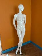 mannequin professionnel pour femme, Enlèvement