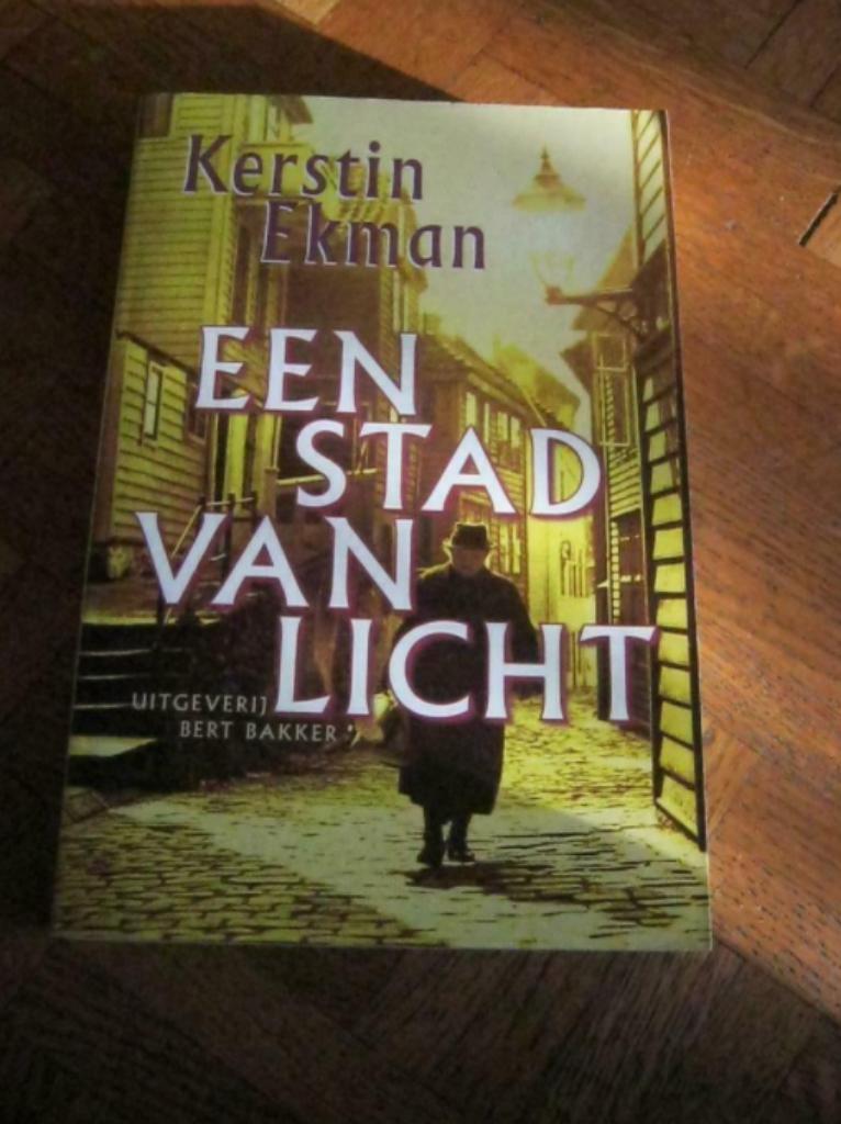 Kerstin Ekman: Een stad van licht, Livres, Romans, Utilisé, Enlèvement ou Envoi