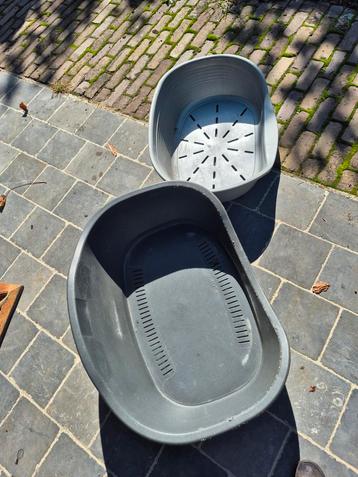 Hondenmanden beschikbaar voor biedingen