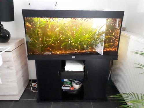 aquarium 120 cm, Animaux & Accessoires, Poissons | Aquariums & Accessoires, Utilisé, Aquarium vide, Enlèvement