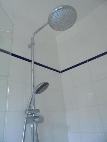 Colonne de douche pivotante Grohe  beschikbaar voor biedingen