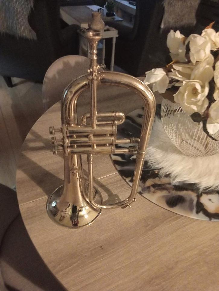 Belgische Bugel – W. Ruyssinck – Erembodegem, Musique & Instruments, Instruments à vent | Autre, Utilisé, Cuivre, Avec valise ou sac