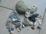 WOESTIJNROZEN - VERSCHILLENDE STENEN, SCHELPEN, Antiek en Kunst, Ophalen
