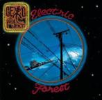 GEKKO PROJECT : Electric forest, CD & DVD, CD | Rock, Comme neuf, Progressif, Enlèvement ou Envoi
