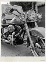 Harley Davidson softail deluxe, Particulier