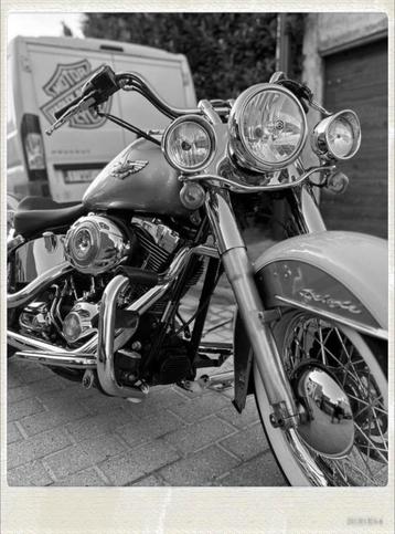 Harley Davidson softail deluxe, Particulier