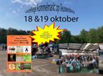 Rommelmarkt Olen 18 en 19 oktober, Hobby en Vrije tijd, Gezelschapsspellen | Bordspellen, Ophalen, Gebruikt