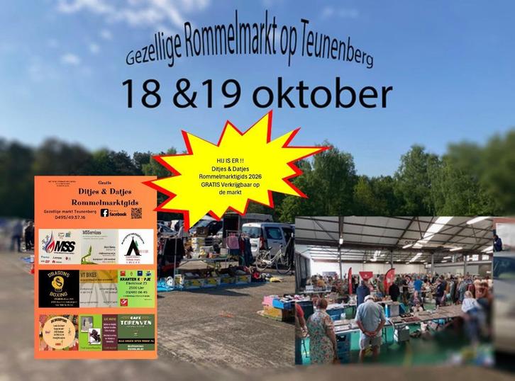 Rommelmarkt Olen 18 en 19 oktober, Hobby en Vrije tijd, Gezelschapsspellen | Bordspellen, Gebruikt, Ophalen