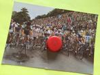 Wielerfoto 1981 hinault , francesco moser ,rudy pevenage, Verzenden, Zo goed als nieuw
