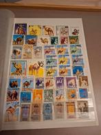 Postzegels kamelen, Ophalen