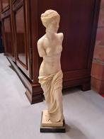 Statue de Vénus, Antiquités & Art, Art | Sculptures & Bois, Enlèvement