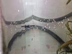 Dark bleu moscow guppy jongen, Dieren en Toebehoren, Overige soorten