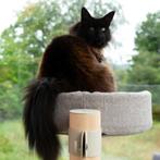 Kattenklim meubel fantail, in modules, Dieren en Toebehoren, Nieuw, Krabpaal, Ophalen