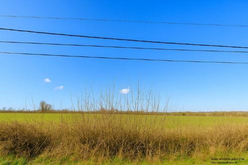 6594 Beauwelz: mooi gelegen bouwgrond, 10a 75ca., Immo, Gronden en Bouwgronden, 1000 tot 1500 m²
