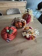 Pompoenen Boyds 4 Stuks, Huis en Inrichting, Ophalen of Verzenden, Zo goed als nieuw