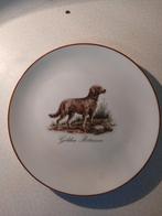 Bord jacht golden retriever, Enlèvement ou Envoi