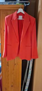 Vest met broek ZEB collectie M, Ophalen, Zo goed als nieuw, Maat 38/40 (M)