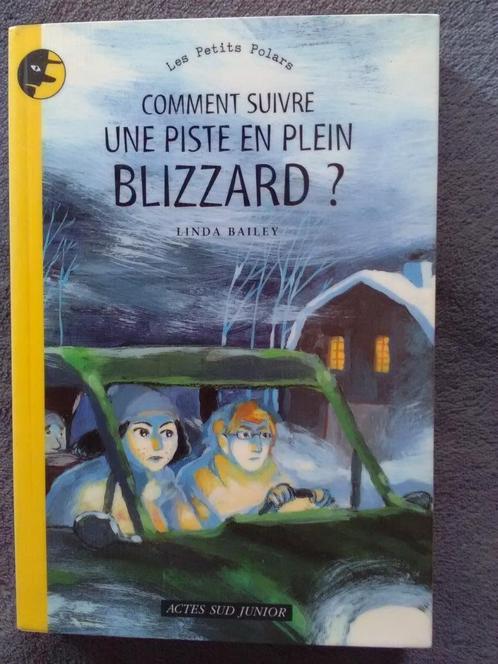 "Comment suivre une piste en plein blizzard ?" Linda Bailey, Livres, Livres pour enfants | Jeunesse | 10 à 12 ans, Utilisé, Fiction