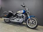 Harley-Davidson XL 1200T SuperLow, Entreprise, Plus de 35 kW, Chopper, 1200 cm³
