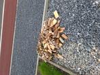 Gratis hout reeds verzaagd,linde en zuivere vuren plankjes, Tuin en Terras, Ophalen