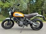Ducati Scrambler 800 Sunset Yellow - Termignoni Race Exhaust, Motoren, Motoren | Ducati, 2 cilinders, ABS, Motorrijbewijs A, Particulier
