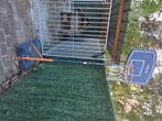 Basketbal, Sport en Fitness, Basketbal, Ophalen, Zo goed als nieuw, Ring, Bord of Paal