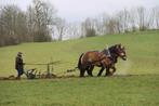 Débourrage chevaux, Animaux & Accessoires, Enlèvement ou Envoi