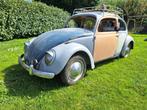 vw cox 1960 1200cm a termine, Auto's, Euro 2, 4 zetels, 50 kW, Beetle (Kever)