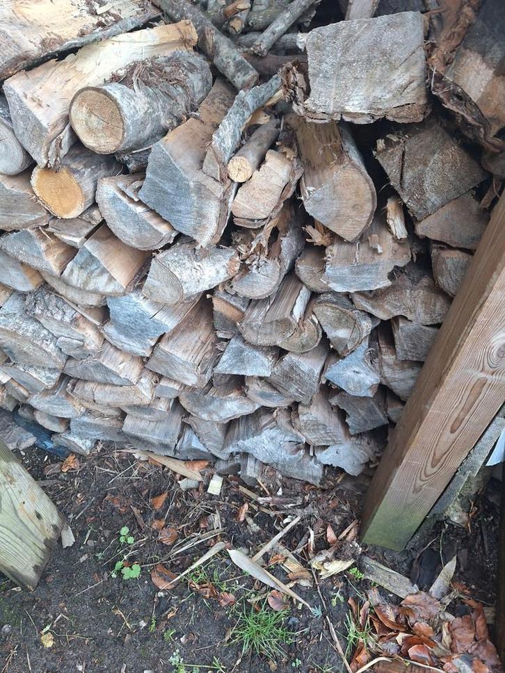 Droog brandhout te koop, Jardin & Terrasse, Bois de chauffage, Enlèvement