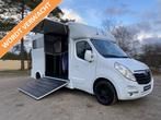 Opel Movano 2-paards paardenvrachtwagen MARGE B-rijbewijs, Dieren en Toebehoren, Gebruikt, Info@hulshof-trading.nl, Overige typen