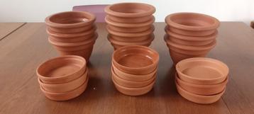 Terracotta bloempotten met schaaltjes beschikbaar voor biedingen