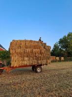 Hooi en stro in kleine en grote balen, Dieren en Toebehoren, Ophalen of Verzenden