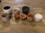 Bloempot binnen, Ophalen, Gebruikt, Binnen
