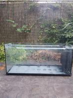 Aquarium/terrarium gratis, Dieren en Toebehoren, Reptielen en Amfibieën | Toebehoren, Ophalen, Gebruikt