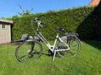 Gazelle damesfiets 7 versnellingen, Fietsen en Brommers, Fietsen | Dames | Damesfietsen, Ophalen, Versnellingen, Gazelle, 53 tot 56 cm