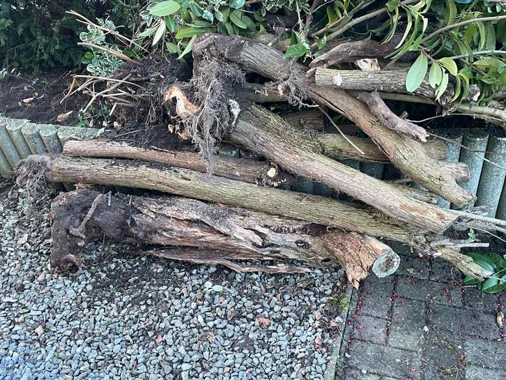 Brandhout, Tuin en Terras, Brandhout, Ophalen