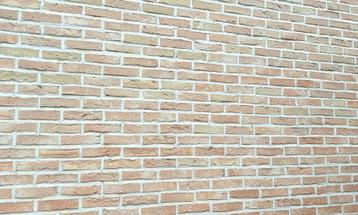 Gevelsteen  NIEUW !     190 x 90 x 50  beschikbaar voor biedingen