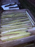 Gratis palen, Tuin en Terras, Palen, Balken en Planken, Ophalen, Gebruikt, Palen