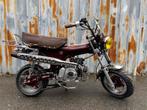 GloedNieuwe Zhenhua Dx Bordeaux met Opties, Fietsen en Brommers, Brommers | Honda, Nieuw, 50 cc, 4 versnellingen, Ophalen of Verzenden