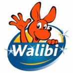 Walibi-tickets geldig tot 29/09/2025, Drie personen of meer