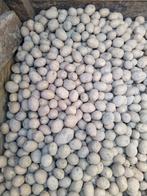 Fontane pootgoed planters 28/35, Zakelijke goederen, Landbouw | Aardappelen, Groenten, Fruit en Vlees, Ophalen