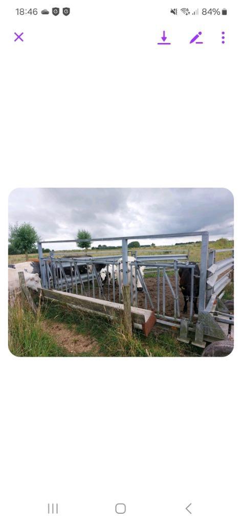 GESTOLEN Vangbox rundvee, Dieren en Toebehoren, Runderen
