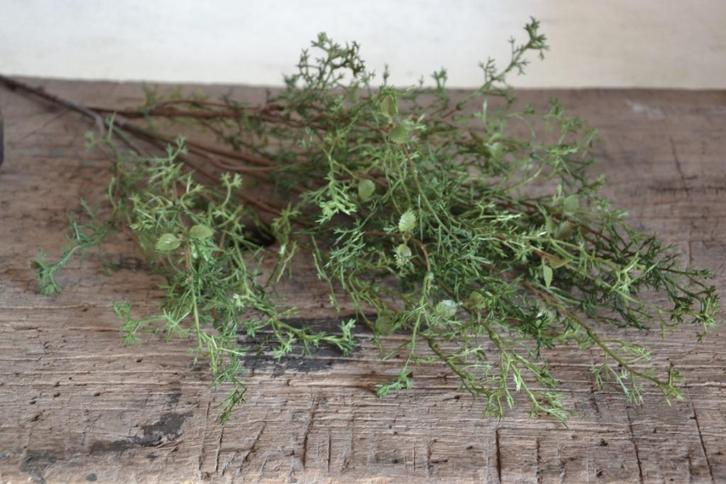 Kunst tak, Huis en Inrichting, Woonaccessoires | Overige, Nieuw, Ophalen of Verzenden