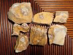 Opruiming: Lot septaria + barietroos, Verzamelen, Mineralen en Fossielen, Ophalen of Verzenden, Mineraal