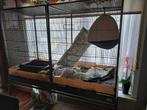 TE KOOP GROTE KOOI MET TOEBEHOREN, Dieren en Toebehoren, Ophalen, Kooi