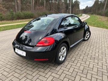Volkswagen Beetle // 1.2 benzine // gekeurd 12 maanden //